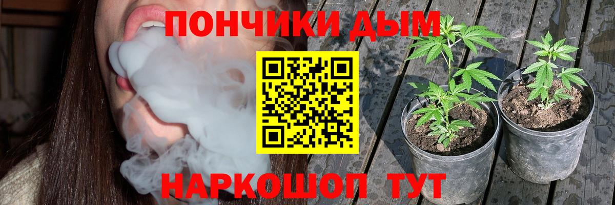 Орск  Шишки марихуана Amnesia  Канабис индика  Конопля план  Вход с VPN  Бошки марихуана план 